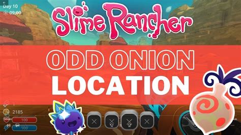 odd onion slime rancher|Iba pa.
